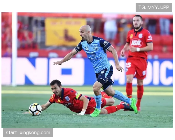 悉尼FC主场完胜中央海岸水手 伍德建功助球队2比0取胜